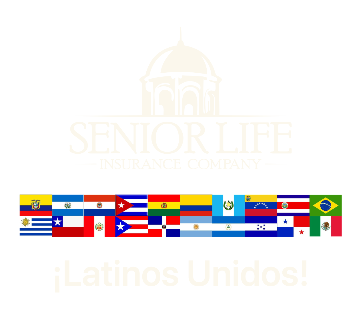 latinos unidos flags